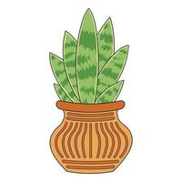 Green plant Sansevieria in the bromn orange pot vector