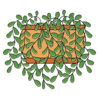 Green plant ivy with hanging leaves in the bromn orange pot vector