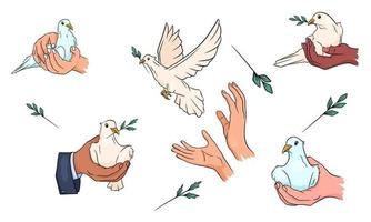 Dove with a twig in its beak. Doves in hand. World peace. vector