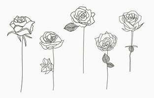 colección de rosas negras con hojas.ilustración vectorial para icono, logotipo, pegatina, imprimible y tatuaje vector