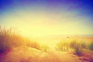 Calm beach with dunes and green grass. Tranquil ocean photo