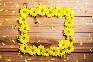 Fresh spring flowers and petals making frame on rustic wood. photo