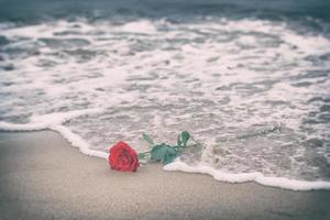 Waves washing away a red rose from the beach. Vintage. Love photo