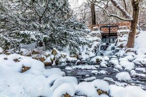 parque de invierno parque oliwski, gdansk, polonia foto