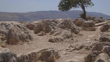 View from Mount Arbel of Rocky Ground Pans Up to Single Tree Blowing in the Wind and Mountain Background video