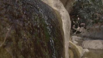 el agua gotea por una roca cerca de un arroyo que fluye en el fondo video