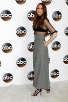 LOS ANGELES, AUG 6 - Darby Stanchfield at the ABC TCA Summer 2017 Party at the Beverly Hilton Hotel on August 6, 2017 in Beverly Hills, CA photo