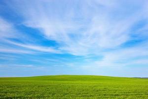 Green field landscape, sunny blue sky photo