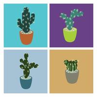 Set of cactus in flowerpot. Cartoon cactus with flowers. Collection of exotic desert plants isolated on color pastel. Cartoon succulents . Kawaii cactus set. vector