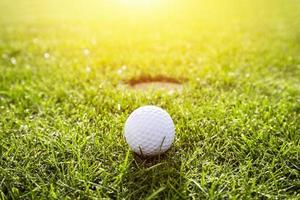 Golf ball on a grass. Sunshine photo