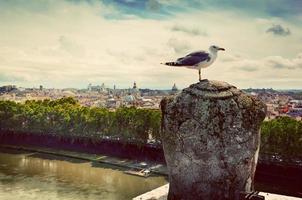 Vintage panorama of Rome, Italy photo