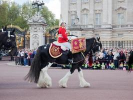 London, England, 2022 - British Royal guards riding on horse photo