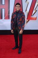 LOS ANGELES, MAR 28 - Chosen Jacobs at the Shazam Premiere at the TCL Chinese Theater IMAX on March 28, 2019 in Los Angeles, CA photo