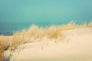 Calm sunny beach with dunes and grass. Baltic sea photo