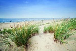 Calm beach with dunes and green grass. Tranquil ocean photo