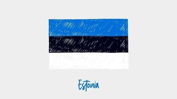 estônia marcador de bandeira nacional do país quadro branco ou animação de loop de esboço de cor de lápis