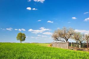 Countryside landscape during spring with solitary trees and fence photo