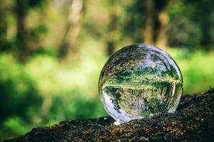 Crystal ball standing on a trunk, reflecting a forest. photo