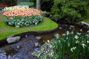 Colorful spring summer park, flowers photo