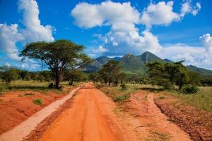 camino de tierra roja, arbusto con sabana. tsavo oeste, kenia, áfrica foto