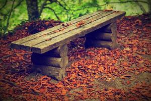 viejo banco en el bosque de otoño. foto