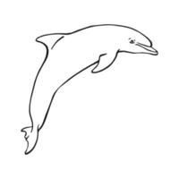 Hand drawn dolphin. Vector illustration in sketch style. Jumping dolphin isolated on white background.