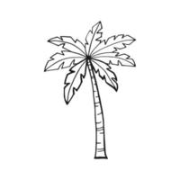 Palm tree. Hand drawn vector illustration. Line art style isolated isolated on white background.