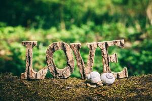 un par de caracoles y amor escribiendo de pie sobre el tronco de madera. foto
