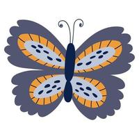 linda mariposa sobre un fondo blanco y aislado. vector