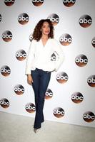 LOS ANGELES, JAN 10 - Gina Torres at the Disney  ABC TV TCA Winter 2017 Party at Langham Hotel on January 10, 2017 in Pasadena, CA photo