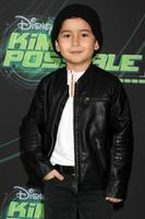 LOS ANGELES, FEB 12 - Elias Jansssen at the Kim Possible Premiere Screening at the TV Academy on February 12, 2019 in Los Angeles, CA photo