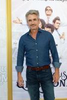 LOS ANGELES, JUL 25 - Dermot Mulroney at the The Righteous Gemstones Premiere Screening at the Paramount Theater on July 25, 2019 in Los Angeles, CA photo