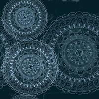 Background with mandala vector