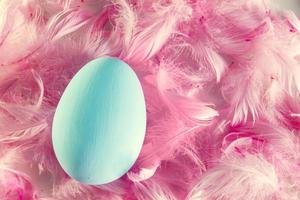 Pastel Easter egg lying on feathers photo