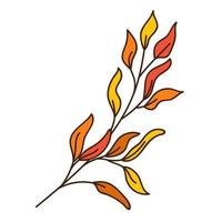 Red and yellow abstract twig with leaves. A blade of grass. Autumn time. Botanical, plant design element with outline. Doodle, hand-drawn. Flat design. Color vector illustration. Isolated on white.