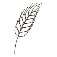 wheat, rye spikelet. A symbol of autumn, harvest. Design element with outline. Doodle, hand-drawn. Flat design. Black white vector illustration. Isolated on a white background