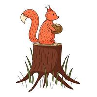 A squirrel sits on a tree stump and holds a nut in its paws. Forest animal on nature. Decorative element with an outline. Doodle, hand-drawn. Flat design. Color vector illustration. Isolated on white