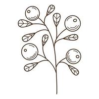 A twig with berries and leaves. Lingonberry, a forest plant. Botanical, plant design element with outline. Doodle, hand-drawn. Flat design. Black white vector illustration. Isolated on white