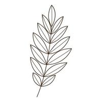 abstract twig with leaves. A blade of grass. Autumn time. Botanical, plant design element with outline. Doodle, hand-drawn. Flat design. Black white vector illustration. Isolated on white