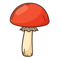 Forest mushroom with a red cap, black birch. A symbol of the forest, autumn, and harvest. Design element with outline. Doodle, hand-drawn. Flat design. Color vector illustration. Isolated on white