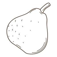 A pear. Ripe fruit. A symbol of autumn, harvest. Design element with outline. Doodle, hand-drawn. Black white vector illustration. Isolated on a white background