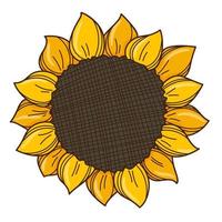 Sunflower top view. Mature sunflower. A symbol of autumn, harvest. Design element with outline. Doodle, hand-drawn. Flat design. Color vector illustration. Isolated on a white background.