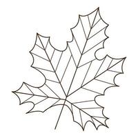 hoja de otoño de arce. botánico, elemento de diseño vegetal con contorno. otoño. garabato, dibujado a mano. diseño plano. ilustración vectorial en blanco y negro. Aislado en un fondo blanco. vector