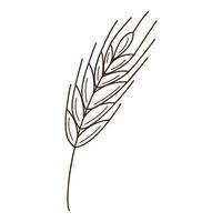 wheat, rye spikelet. A symbol of autumn, harvest. Design element with outline. Doodle, hand-drawn. Flat design. Black white vector illustration. Isolated on a white background.