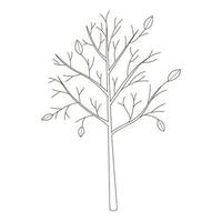 un árbol desnudo con hojas caídas. botánico, elemento de diseño vegetal con contorno. garabato, dibujado a mano. diseño plano. coblack lor blanco ilustración vectorial. Aislado en un fondo blanco. vector