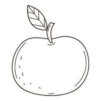 Red apple. Fruit. A symbol of autumn, harvest. Design element with outline. Doodle, hand-drawn. Black white vector illustration. Isolated on a white background.