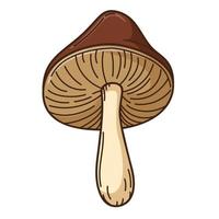Forest mushroom with a brown cap, black birch. A symbol of the forest, autumn, and harvest. Design element with outline. Doodle, hand-drawn. Flat design. Color vector illustration. Isolated on white.