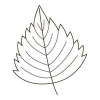 birch leaf. Botanical, plant design element with outline. Time of summer, autumn. Doodle, hand-drawn. Flat design. Black white vector illustration. Isolated on a white background.