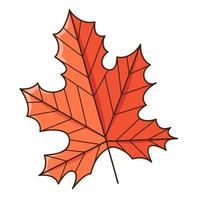 Red maple autumn leaf. Botanical, plant design element with outline. Autumn time. Doodle, hand-drawn. Flat design. Color vector illustration. Isolated on a white background.