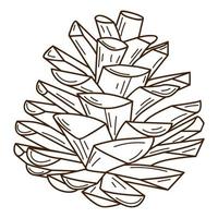 A pine cone. A symbol of the forest, autumn, and harvest. Botanical design element with outline. Doodle, hand-drawn. Flat design. Black white vector illustration. Isolated on a white background